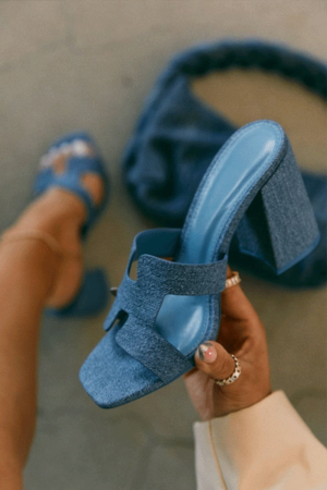 Calzado femenino Botero